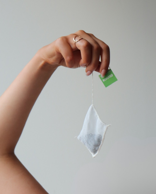 Organic Green Tea - 24 Bags (Most Popular)