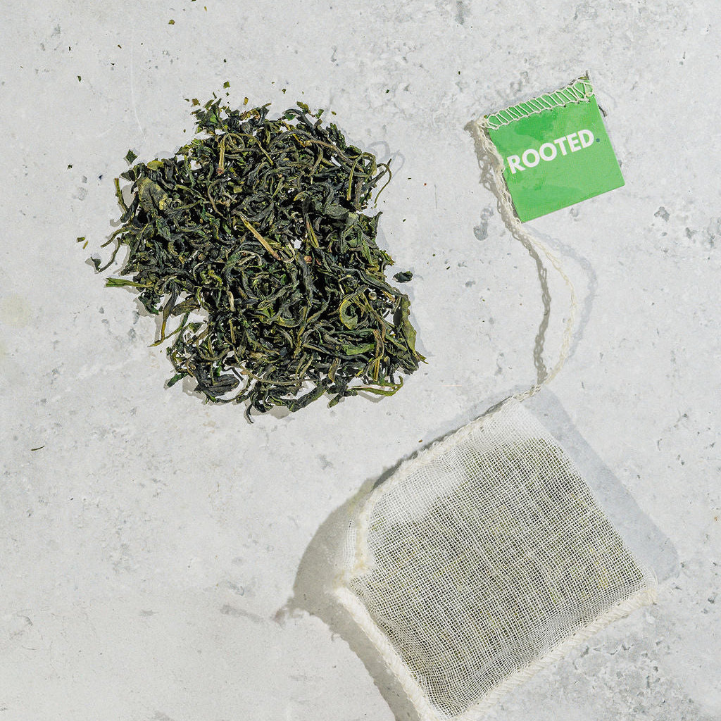 Rooted Tea Bags