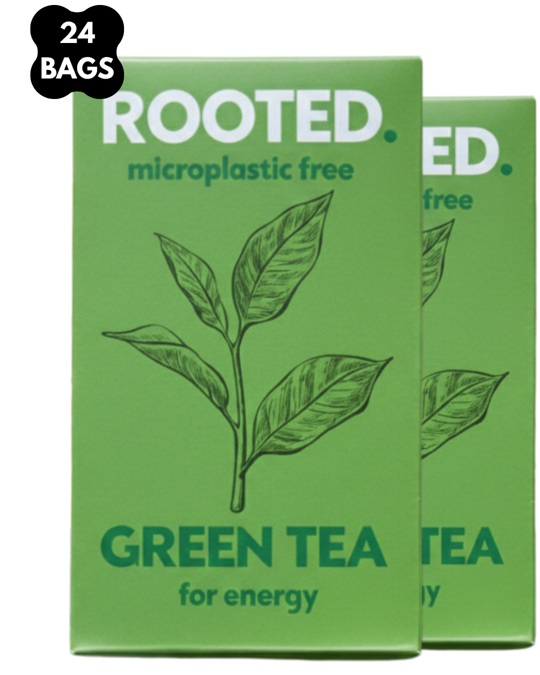 Organic Green Tea - 24 Bags (Most Popular)