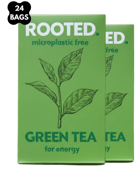 Organic Green Tea - 24 Bags (Most Popular)